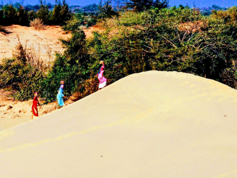 Đồi Cát Nam Cương 