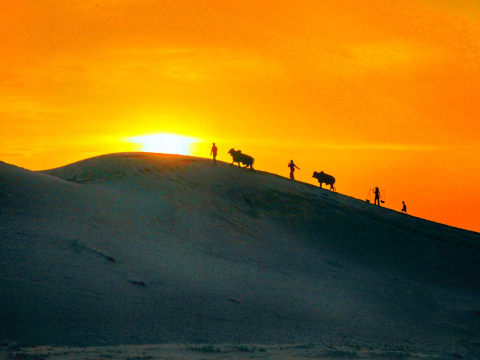 Đồi Cát Nam Cương 