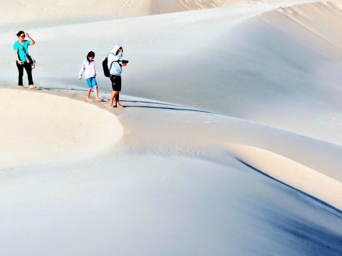 Đồi Cát Nam Cương 