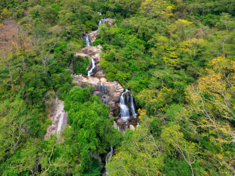 Vườn Quốc Gia Núi Chúa