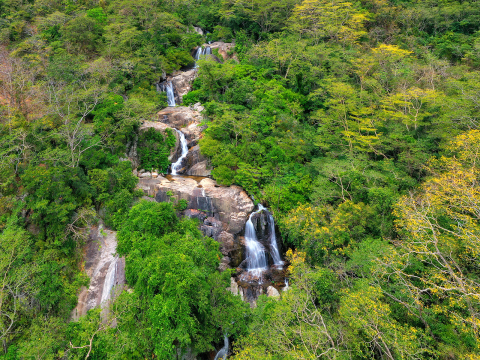 Vườn Quốc Gia Núi Chúa