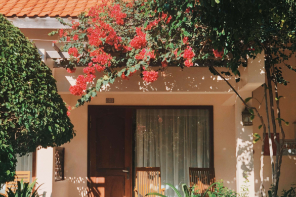Phòng Bugalow Garden View